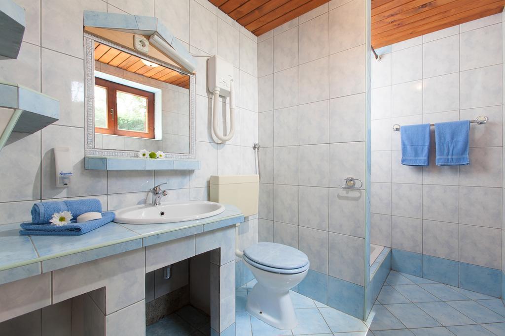 Daila Apartments Novigrad Istria 部屋 写真